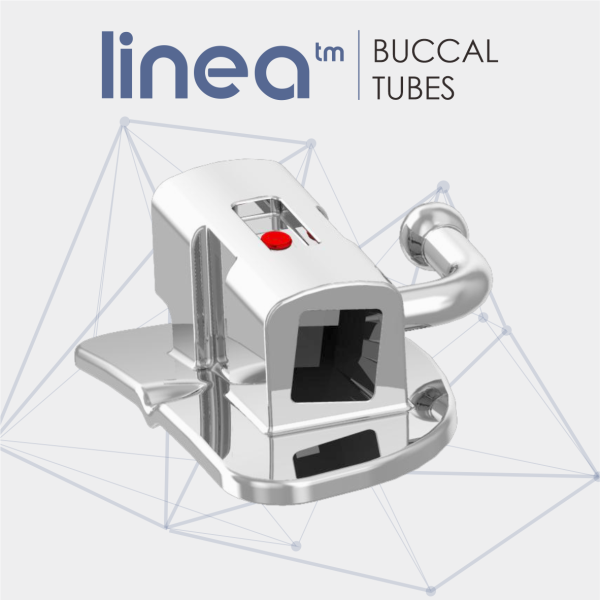 TUBE 1ST MOLAR BOND NON CONVERTIBLE ROTH 0.022 SINGLE